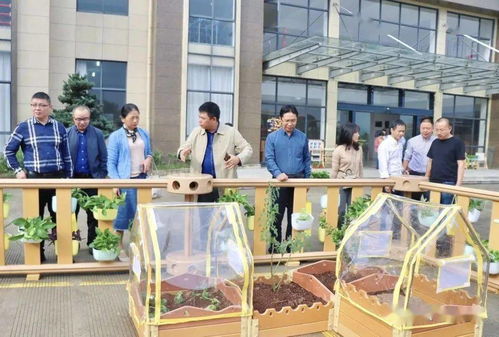 貝瑪教育 麗水市學前教育專家實地參觀指導，共促教育發展